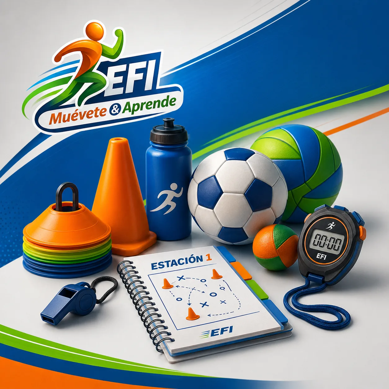 Publicación EFI 2